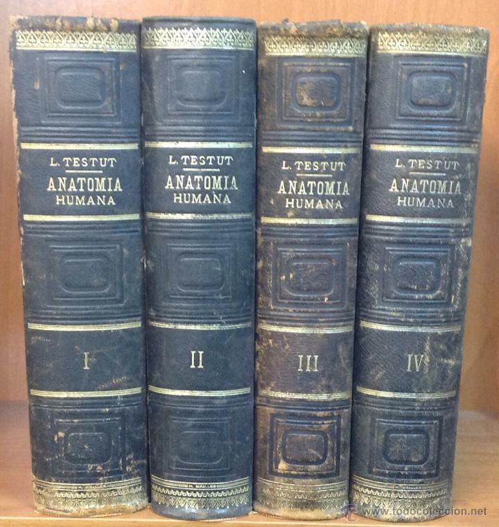 TESTUD ANATOMÍA PDF