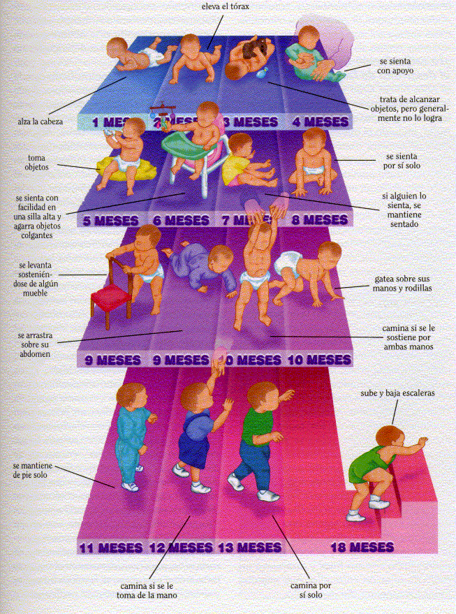 Pruebas de desarrollo de Piaget