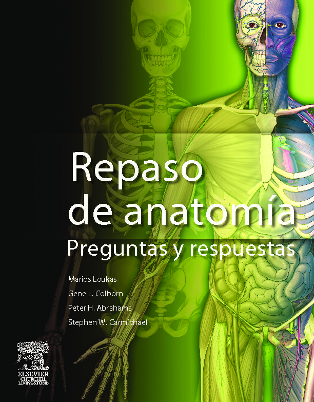 Gray:Repaso de Anatomía:Preguntas y Respuestas