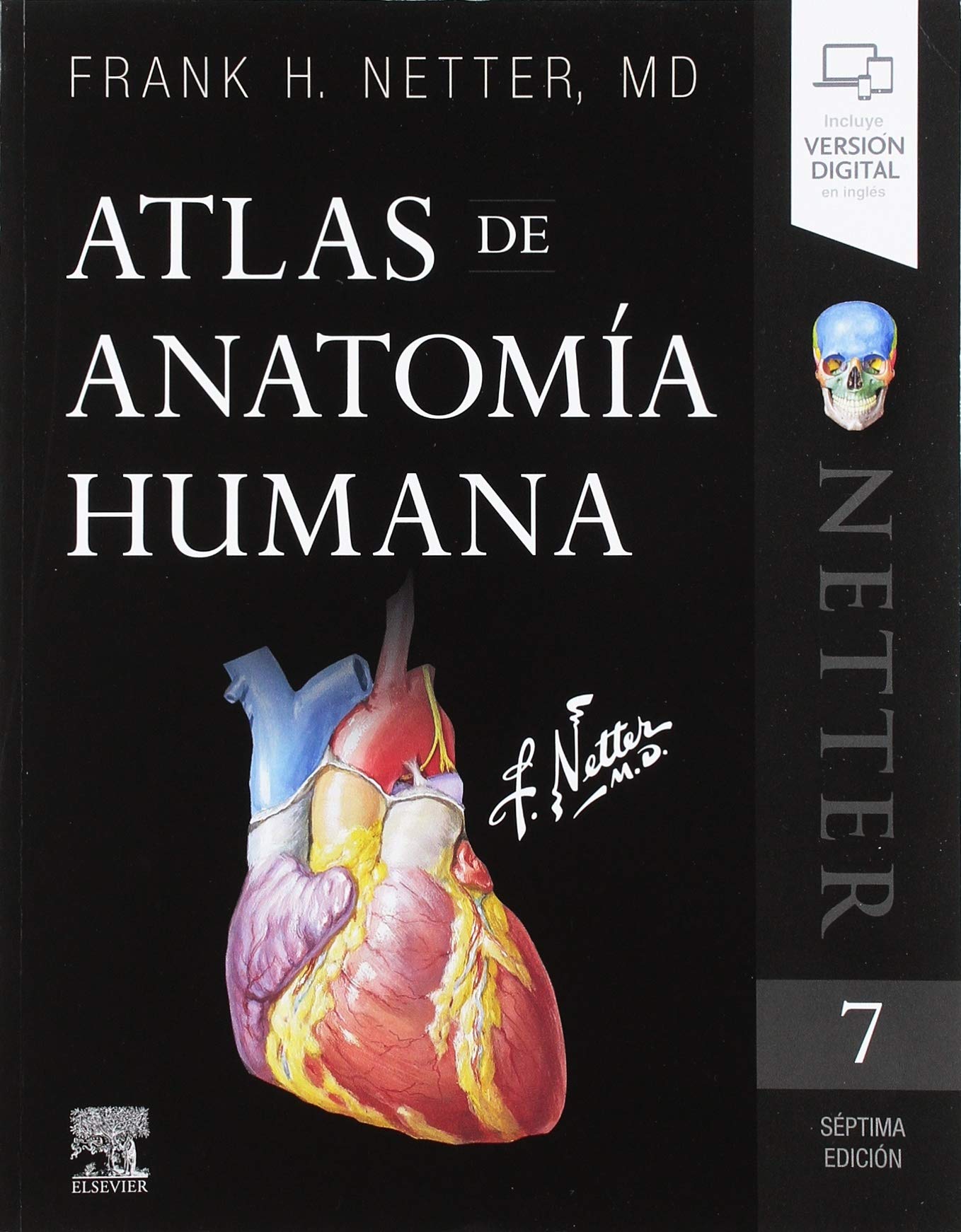Atlas de anatomía 7° edición (Netter)