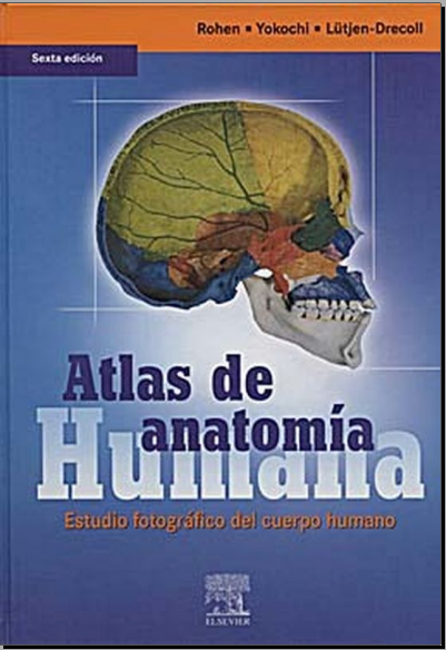 Atlas de anatomía humana (Rohen y Yokochi)