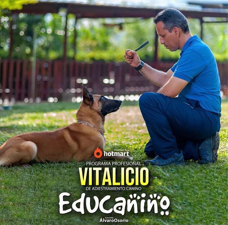 Curso Educa a tu perro (Educanino)